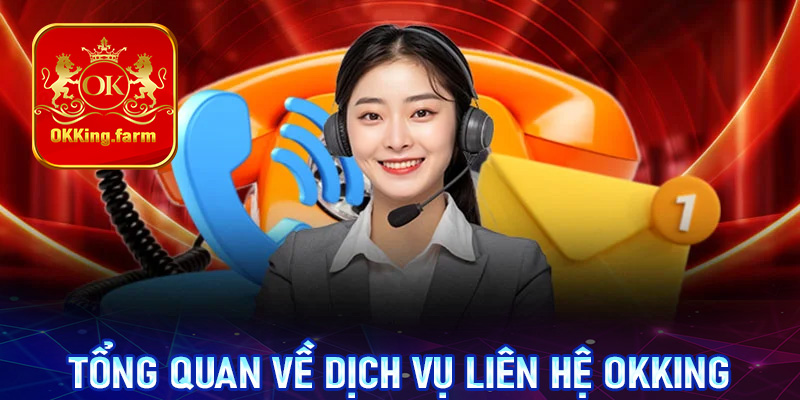 Giới thiệu tổng quan về dịch vụ liên hệ OKKing 